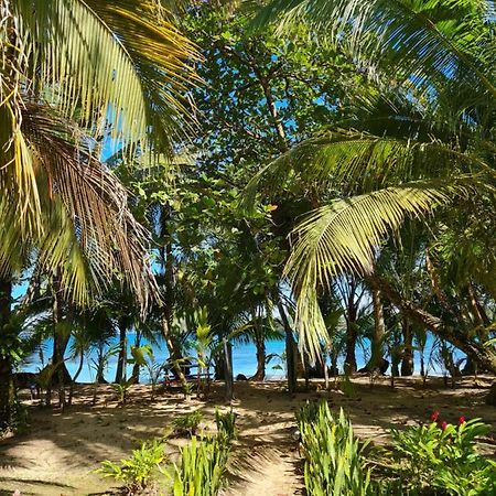 Drago Beach House - Private Beach Boca del Drago Luaran gambar