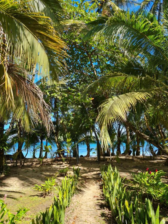 Drago Beach House - Private Beach Boca del Drago Luaran gambar