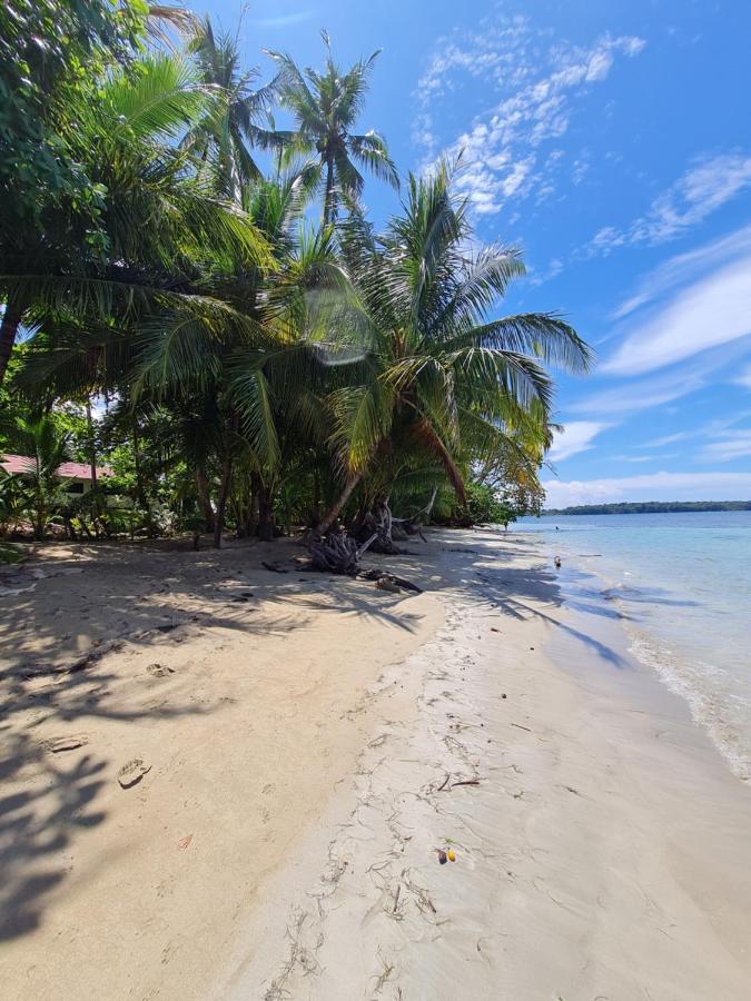 Drago Beach House - Private Beach Boca del Drago Luaran gambar