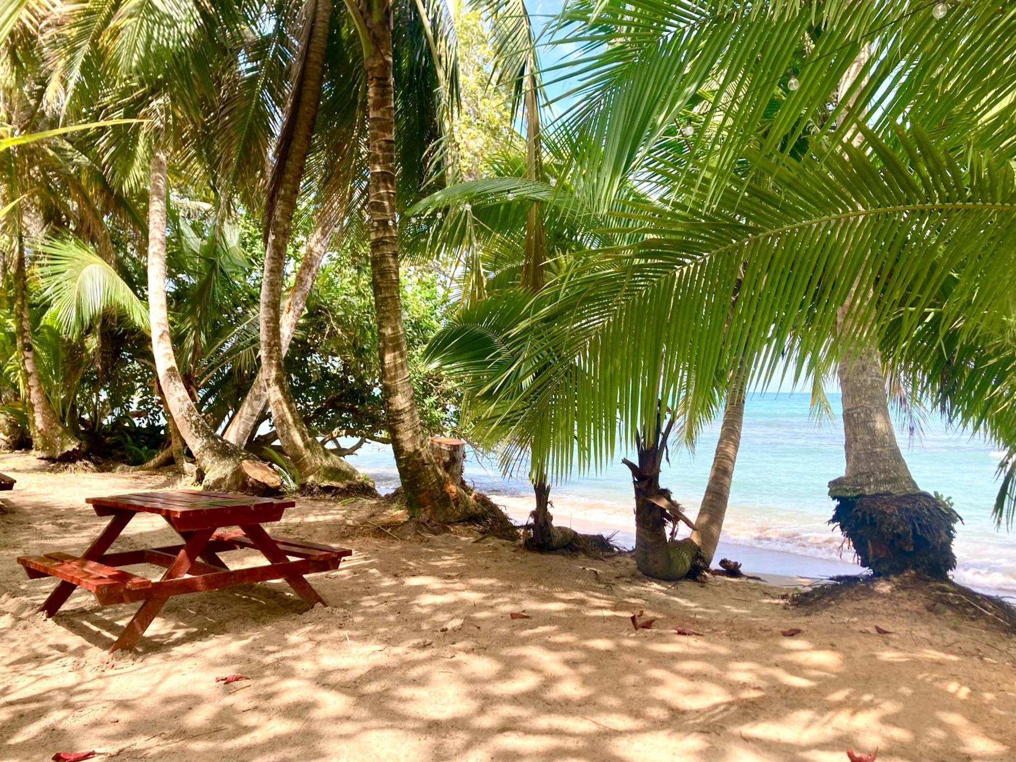 Drago Beach House - Private Beach Boca del Drago Luaran gambar