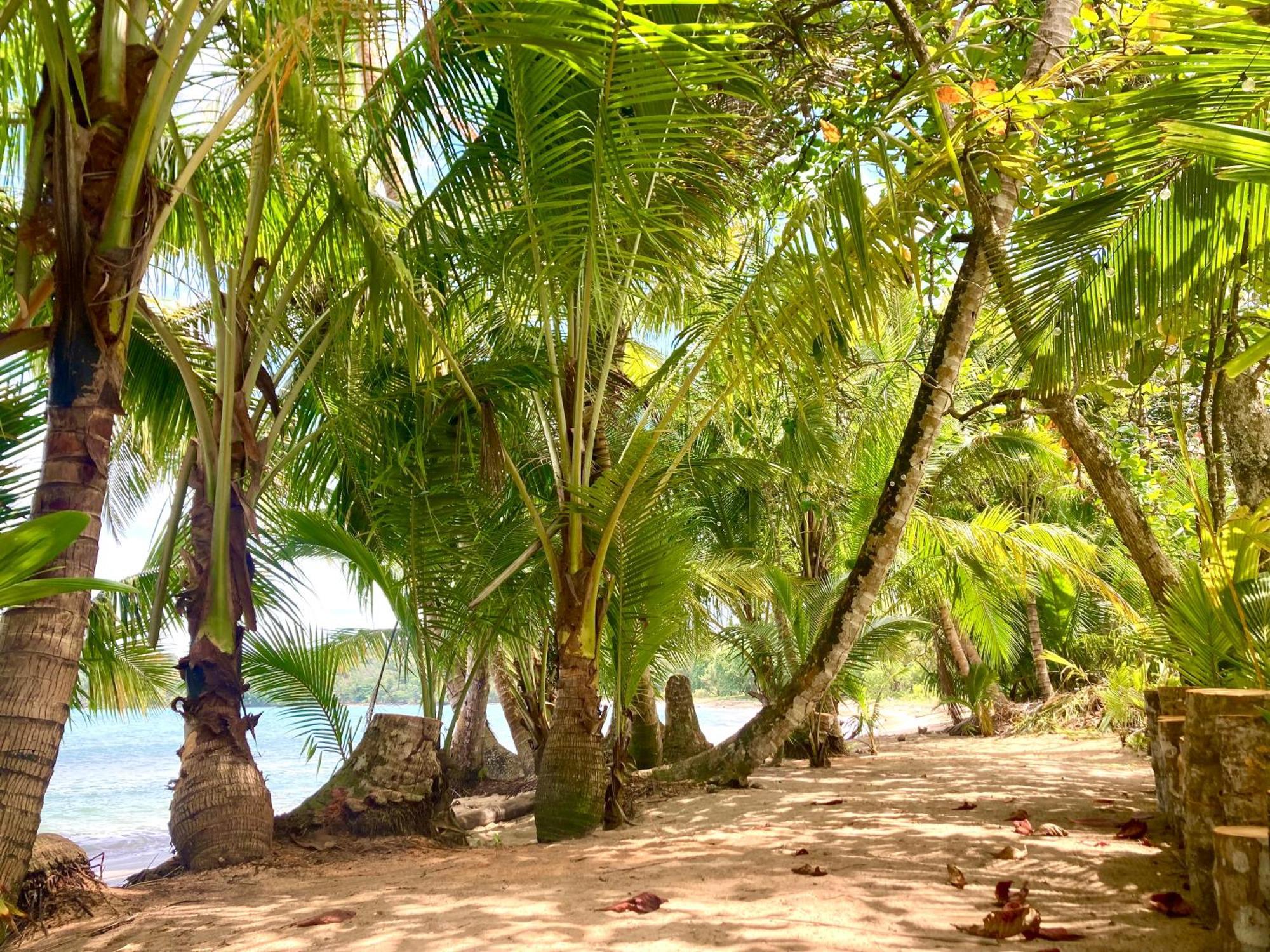Drago Beach House - Private Beach Boca del Drago Luaran gambar