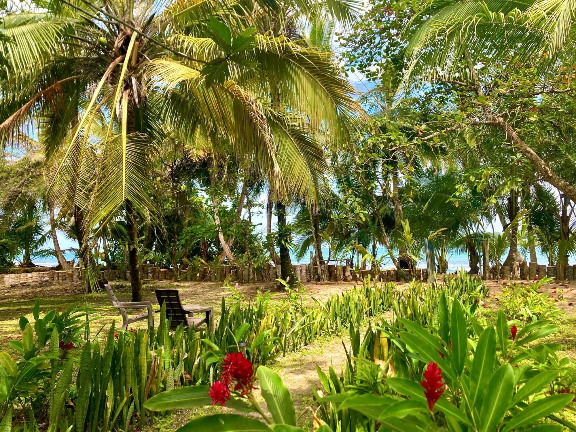 Drago Beach House - Private Beach Boca del Drago Luaran gambar