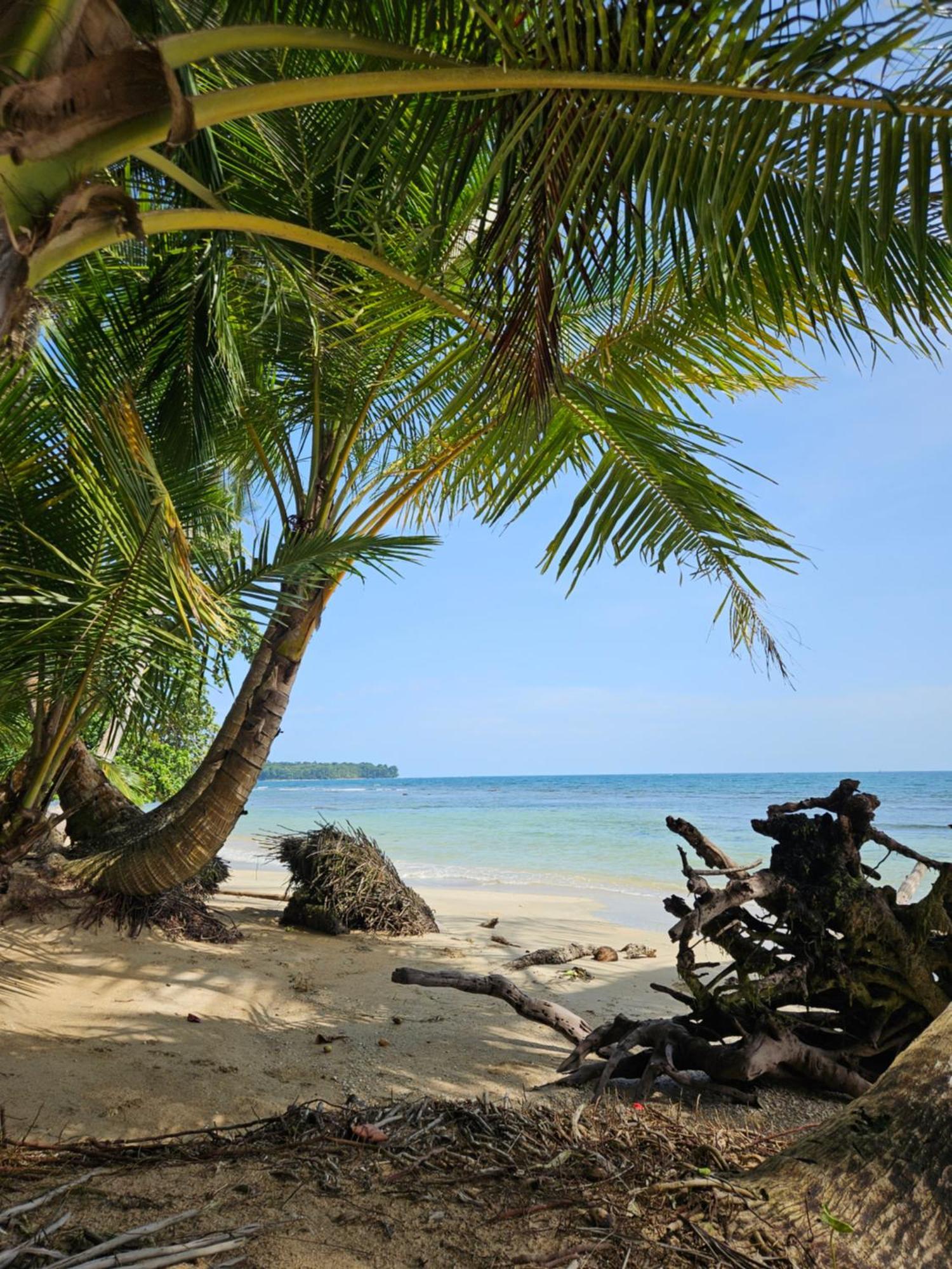 Drago Beach House - Private Beach Boca del Drago Luaran gambar