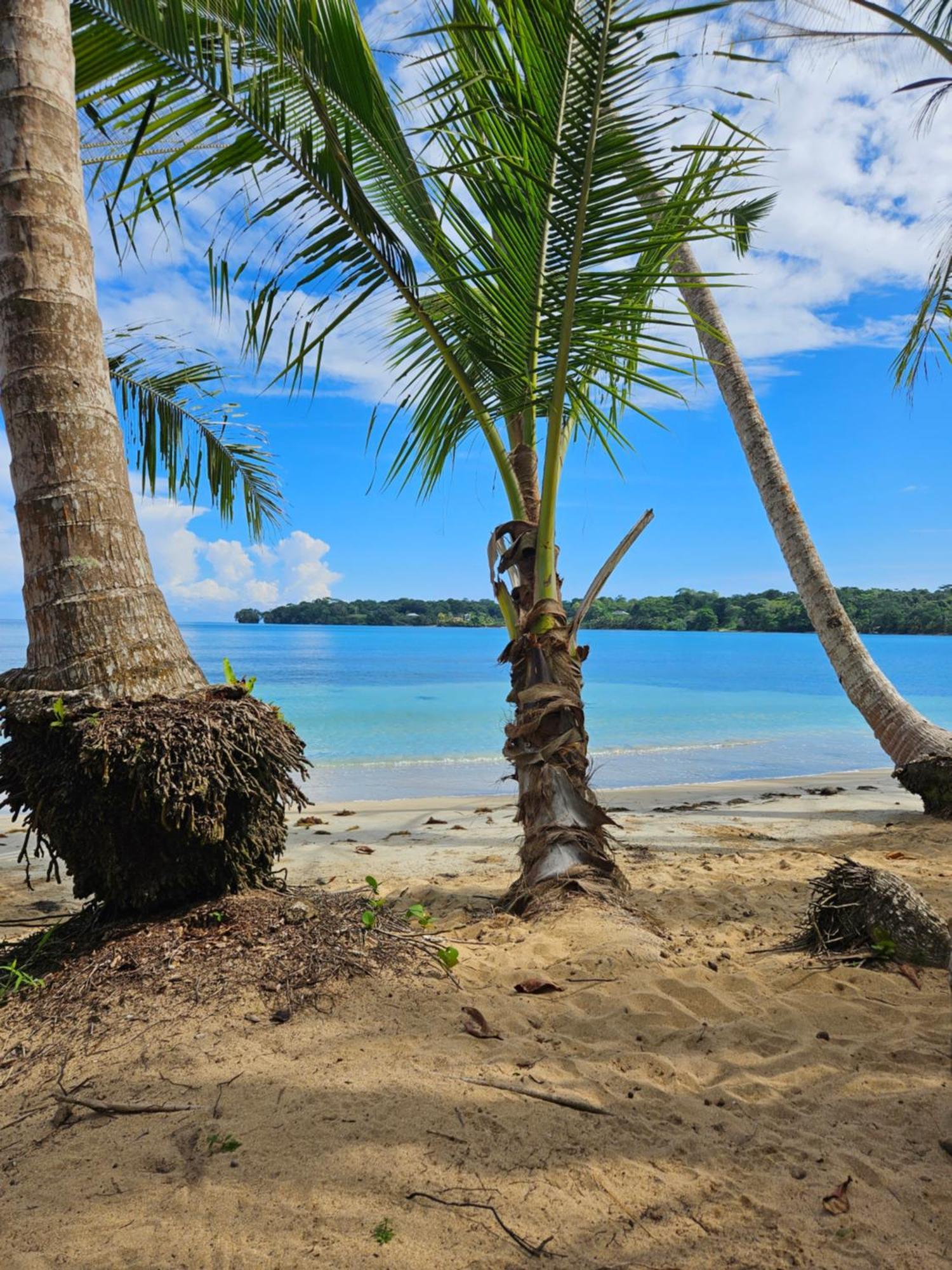 Drago Beach House - Private Beach Boca del Drago Luaran gambar