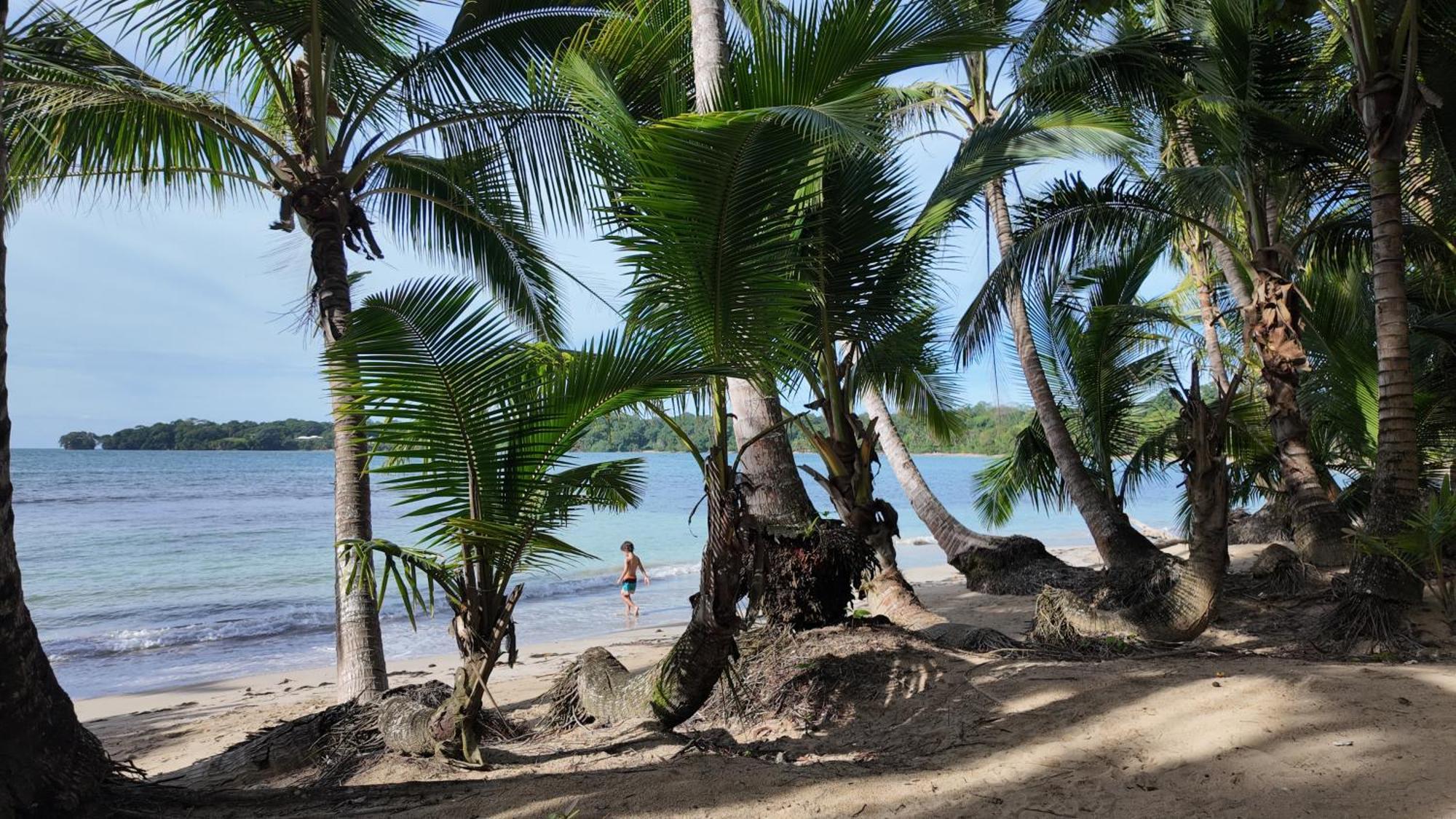 Drago Beach House - Private Beach Boca del Drago Luaran gambar