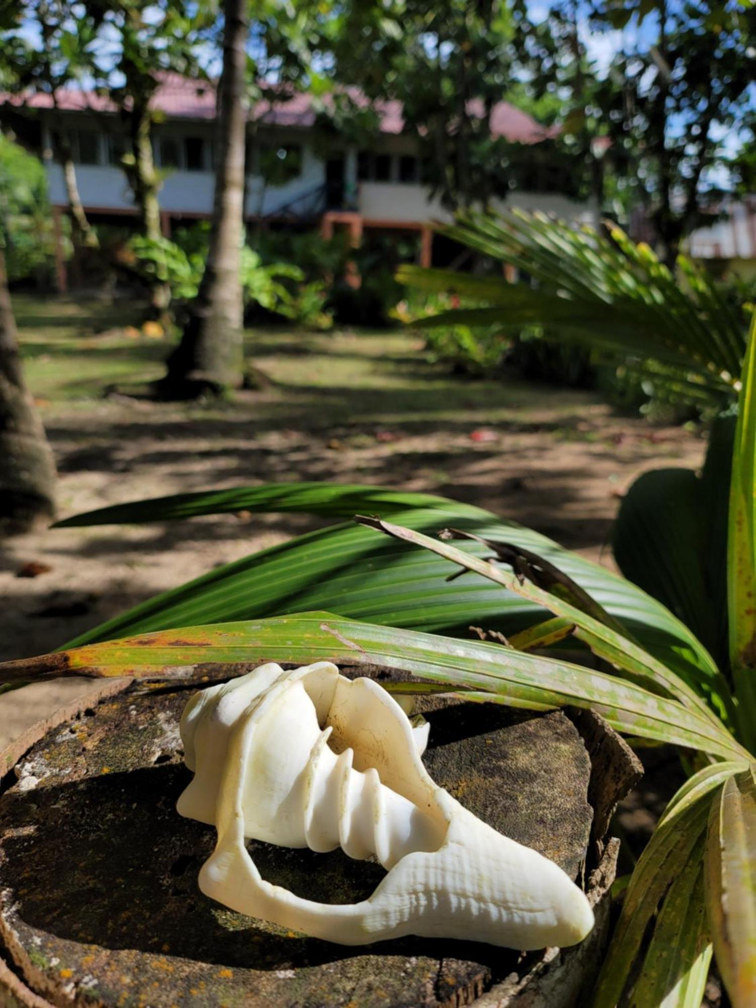Drago Beach House - Private Beach Boca del Drago Luaran gambar